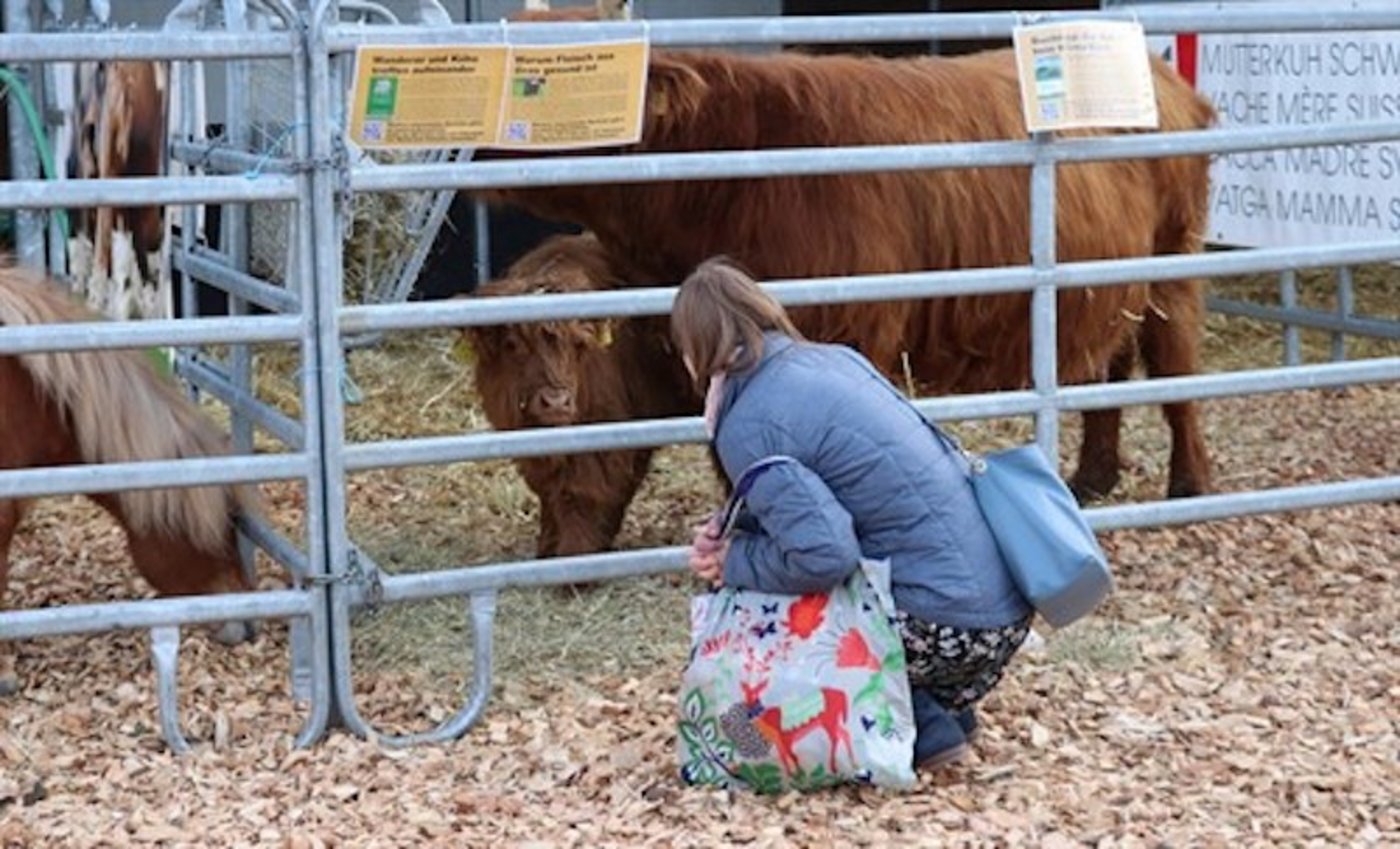 Die Nähe zu grossen Tieren fasziniert nicht nur Kinder.