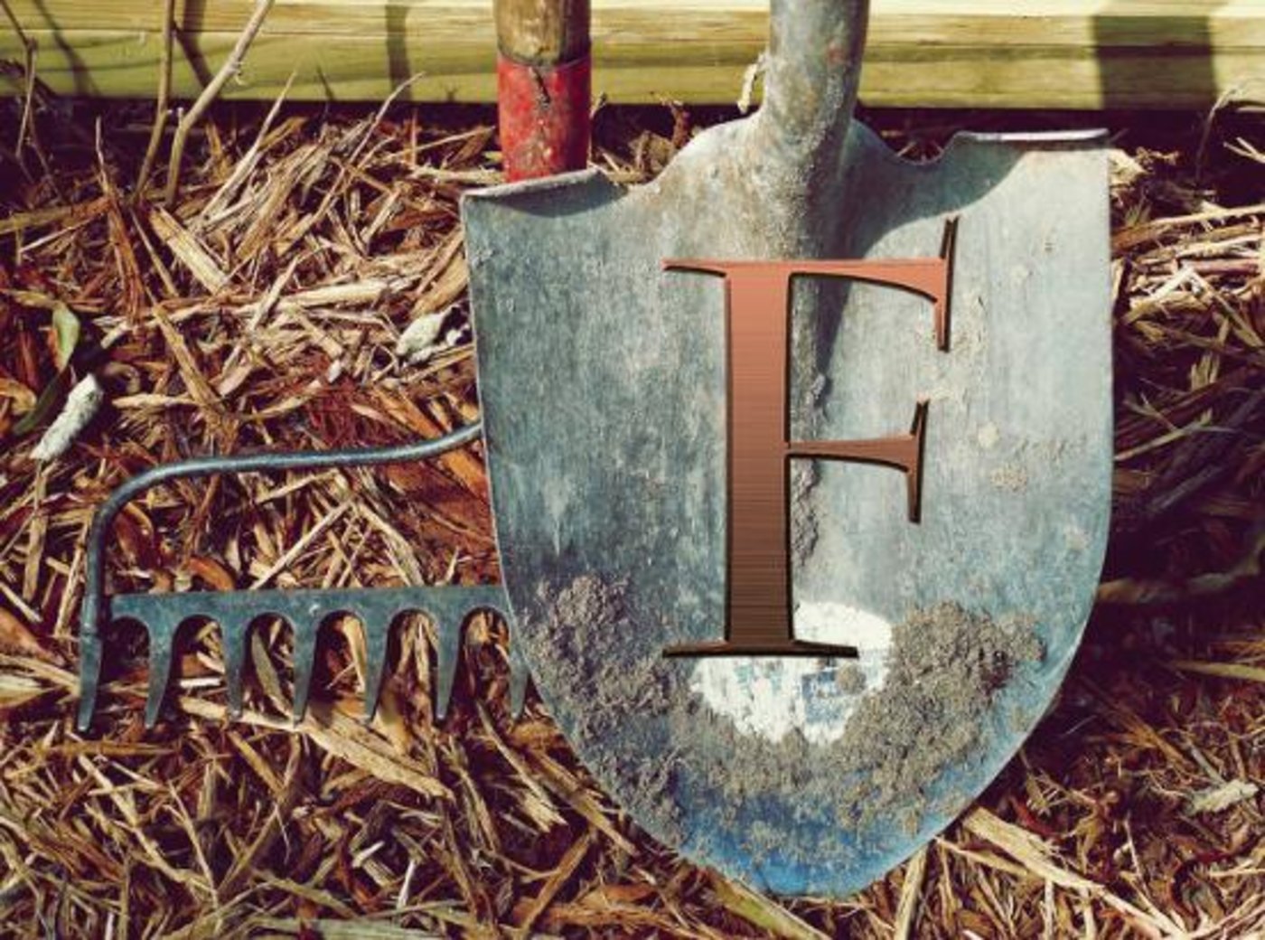 Mit Aufkommen der Landwirtschaft etablierte sich weichere Nahurng und das Gebiss veränderte sich. Wegen dem leichten Überbiss können wir "F" sagen. (Fotmontage pixabay/asa)