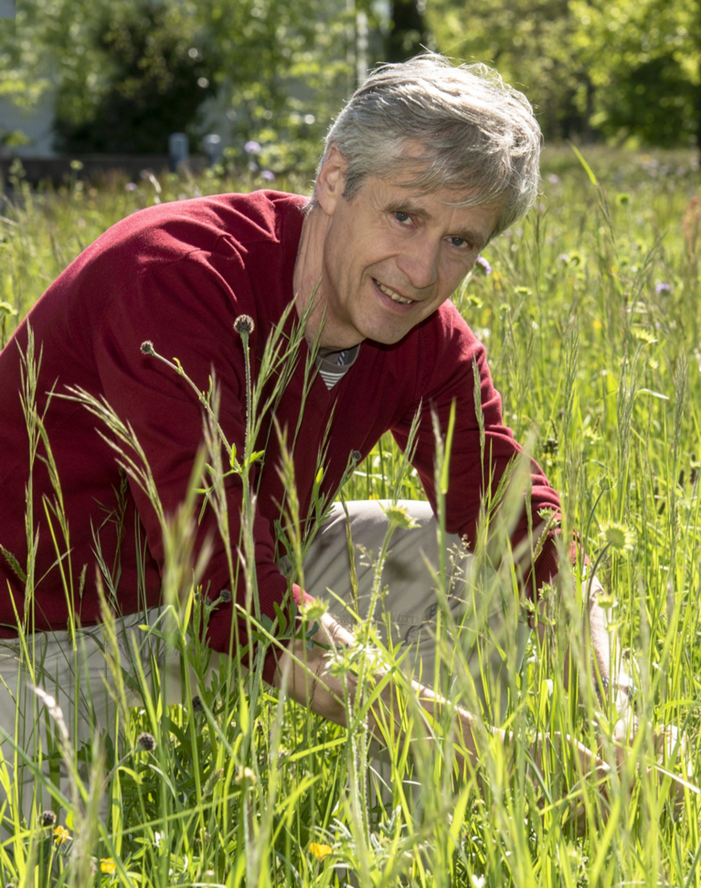 Andreas Lüscher, Graslandforscher am Agroscope, hat das EGF-EUCARPIA Symposium gemeinsam mit Roland Kölliker organisiert. (Bild Agroscope)