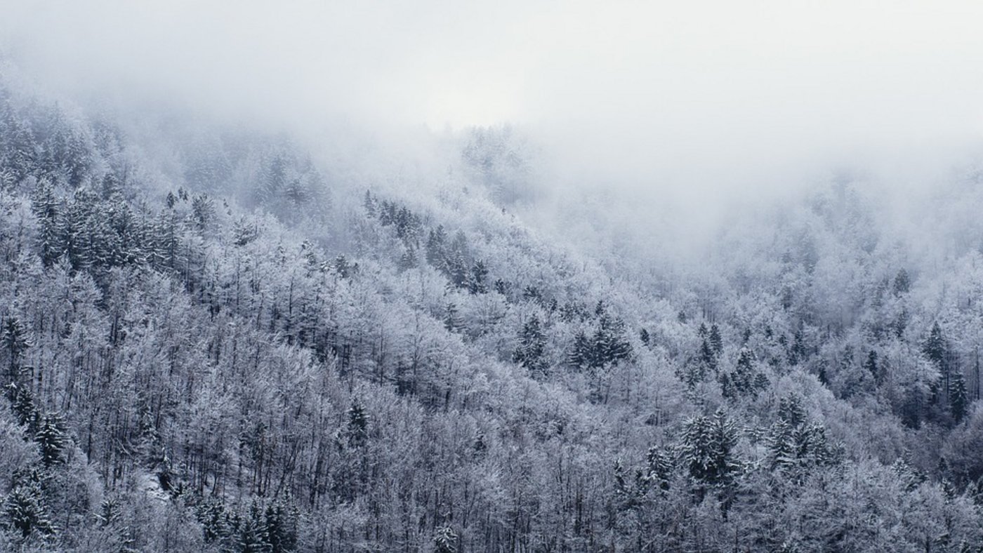 Der Winter hat übers Wochenende einige Regionen der Schweiz heimgesucht. (Symbolbild Pixabay)