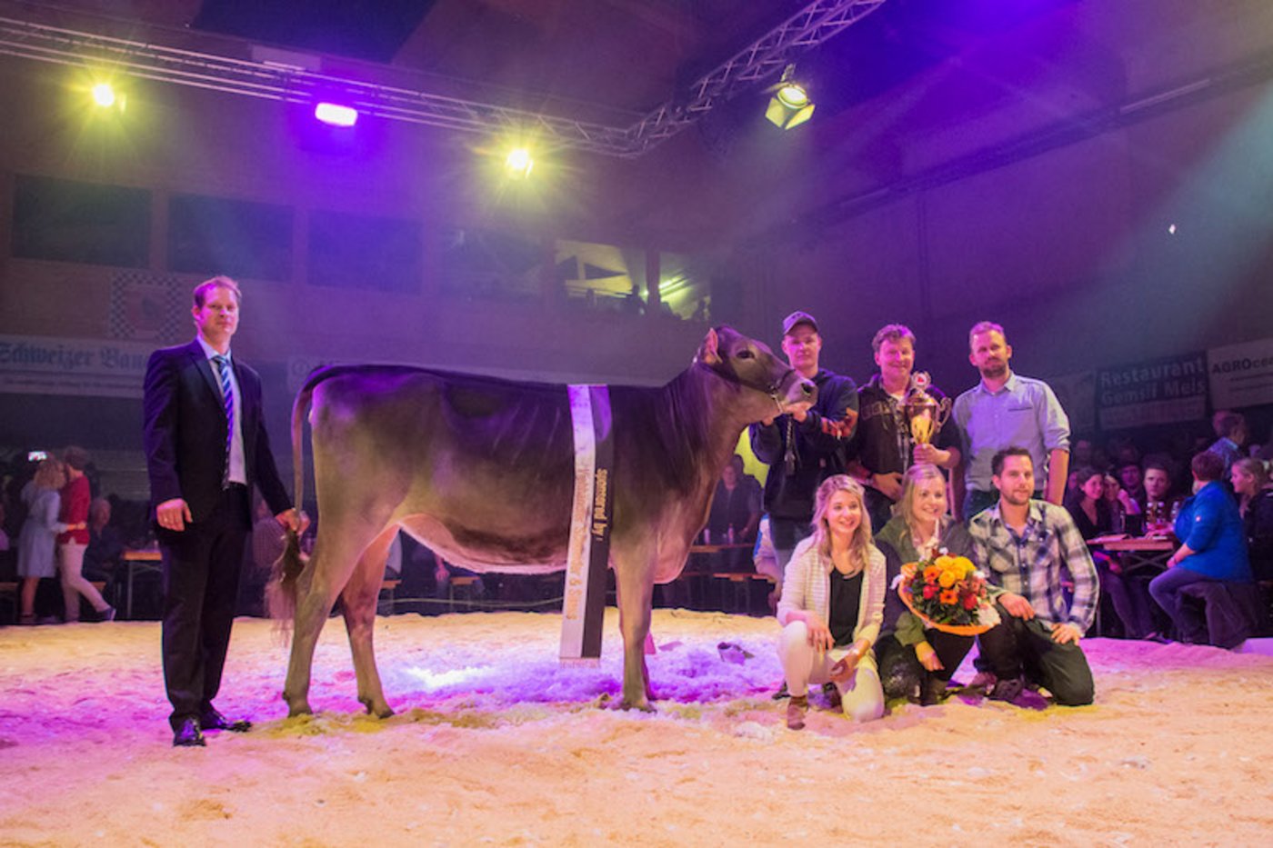 So schön war es letztes Jahr. Auf dem Bild ist Felder's BS Norwin Noreen, Champion GP 2018 zu sehen. (Bilder zVg)