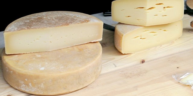 Die verwendeten Bakterien-Kulturen spielen bei der Herstellung von Käse eine wichtige Rolle. Daher dürfen Schweizer Kulturen nur innerhalb der Landesgrenzen verkauft werden. (Bild Moritz 320/Pixabay)