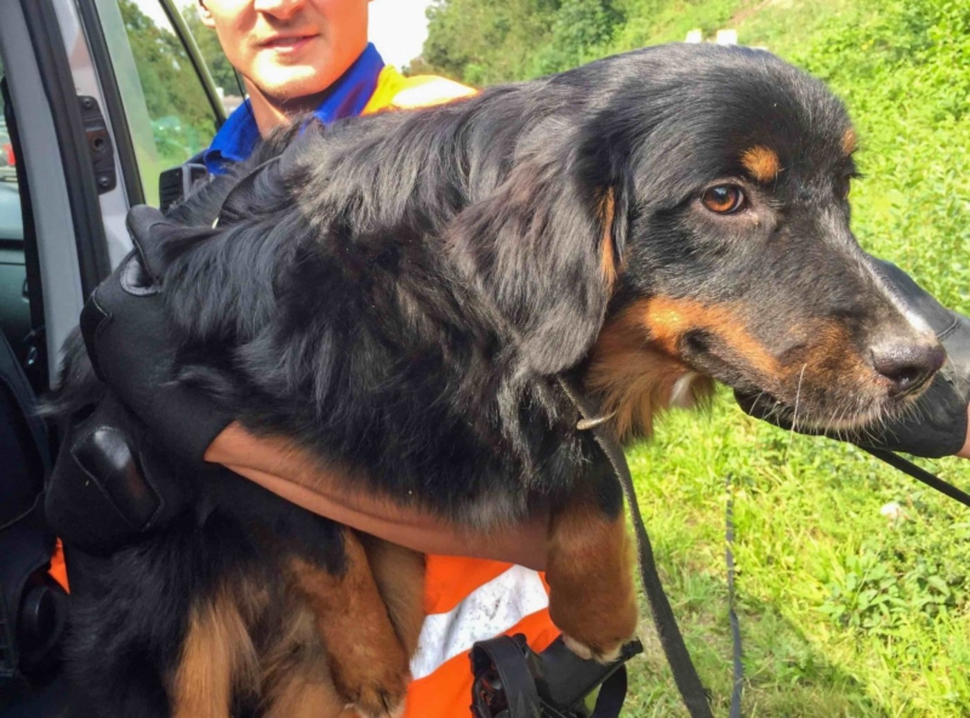 Wohlbehalten eingefangen: Dora mit einem ihrer Freunde und Helfer. (Bild Luzerner Polizei)