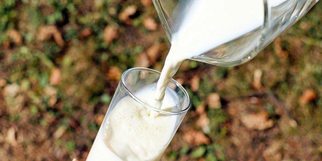 Seit 10 Jahren ein Erfolg: Tag der Mich. Dieses Jahr wurden 65'000 Portionen Milch ausgeschenkt. (Symbolbild Pixabay)