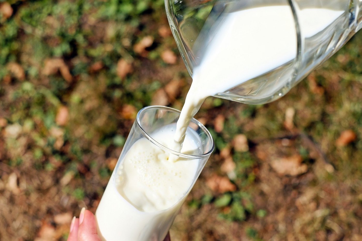 Seit 10 Jahren ein Erfolg: Tag der Mich. Dieses Jahr wurden 65'000 Portionen Milch ausgeschenkt. (Symbolbild Pixabay)