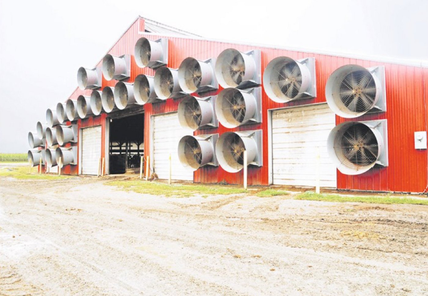 Kuhlaufstall mit Belüftungssystem auf der Wanner’s pride-n-joy Farm.