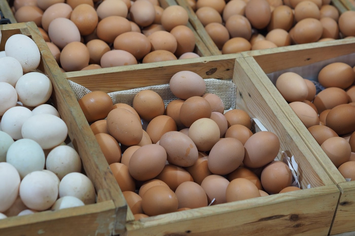 Mittels der veröffentlichten Codes können Konsumentinnen und Konsumenten mit Fipronil verunreinigte Eier erkennen. (Bild Pixabay)