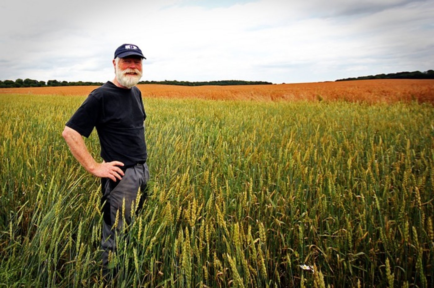 Viele Deutsche sind interessiert an der Landwirtschaft. (Bild lid/pd)