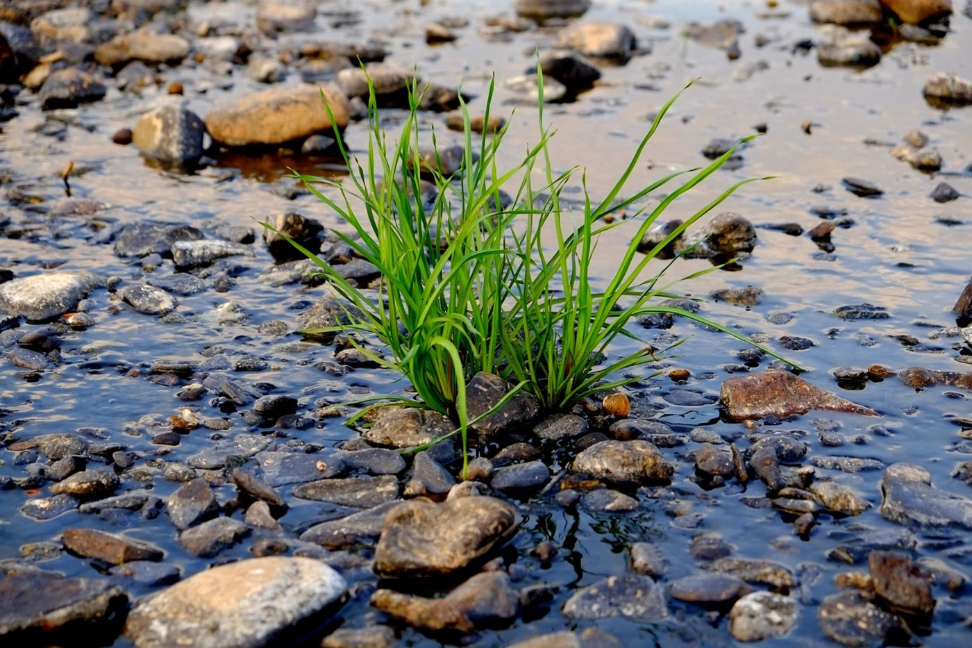 Die Wasserstände von Flüsssen, besonders jene im Mittelland, dürften weiter sinken. (Symbolbild Pixabay)