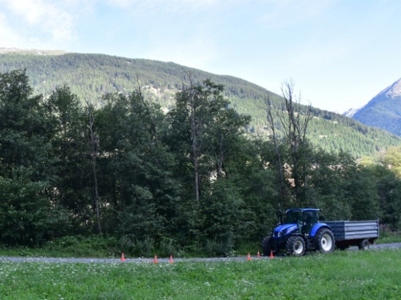 Der Fahrradfahrer kollidierte mit dem Traktor in einer unübersichtlichen Kurve. (Bild Kantonspolizei Graubünden)