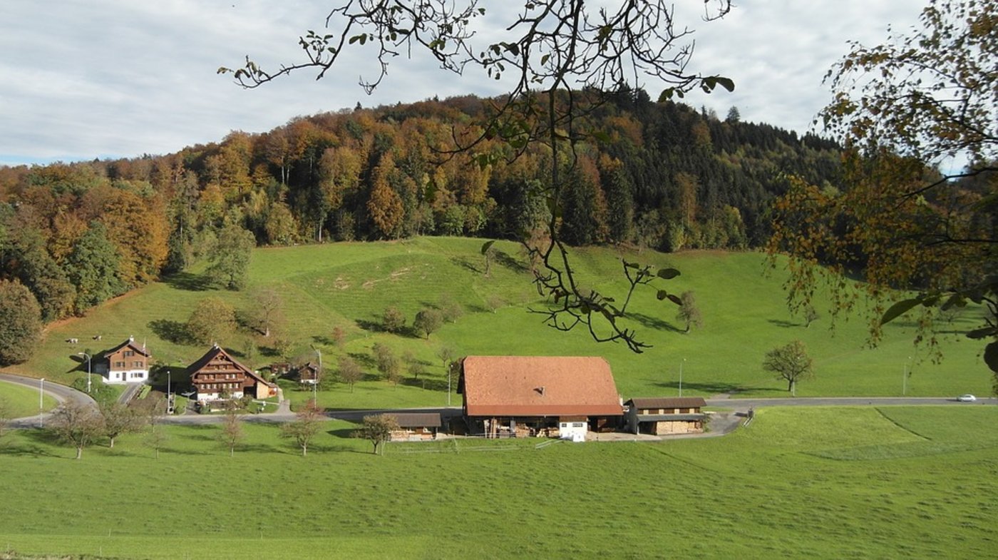 Der landwirtschaftliche Ertragswert bestimmt unter anderem den Preis eines Betriebs bei einer Hofübergabe innerhalb der Familie. (Symbolbild Pixabay)