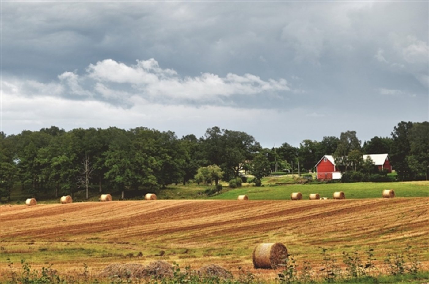  Abgeerntes Getreidefeld in Schweden. (Symbolbild Pixabay) 