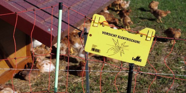 Die Hühnerställe sind ringsum eingezäunt. Mit dem Smartphone lässt sichder Viehhüter ausschalten. Nur so gelangt man in die Anlage. Bild: Martina Rüegger 