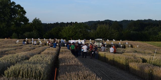 Der Profiabend Ackerbau fand bei bester Witterung statt und war sehr gut besucht. (Bilder Stefanie Giger)