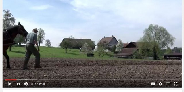 Der Film zeigt verschiedene Facetten der Landwirtschaft im Kanton Zürich auf. (Screenshot Youtube)
