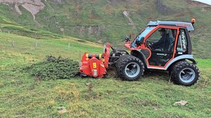Mit einem Metrac-Mul Mit einem Metrac-Mulcher wurden mosaikartig Fahrgassen in die dicht geschlossene Zwergstrauchheide gefräst.