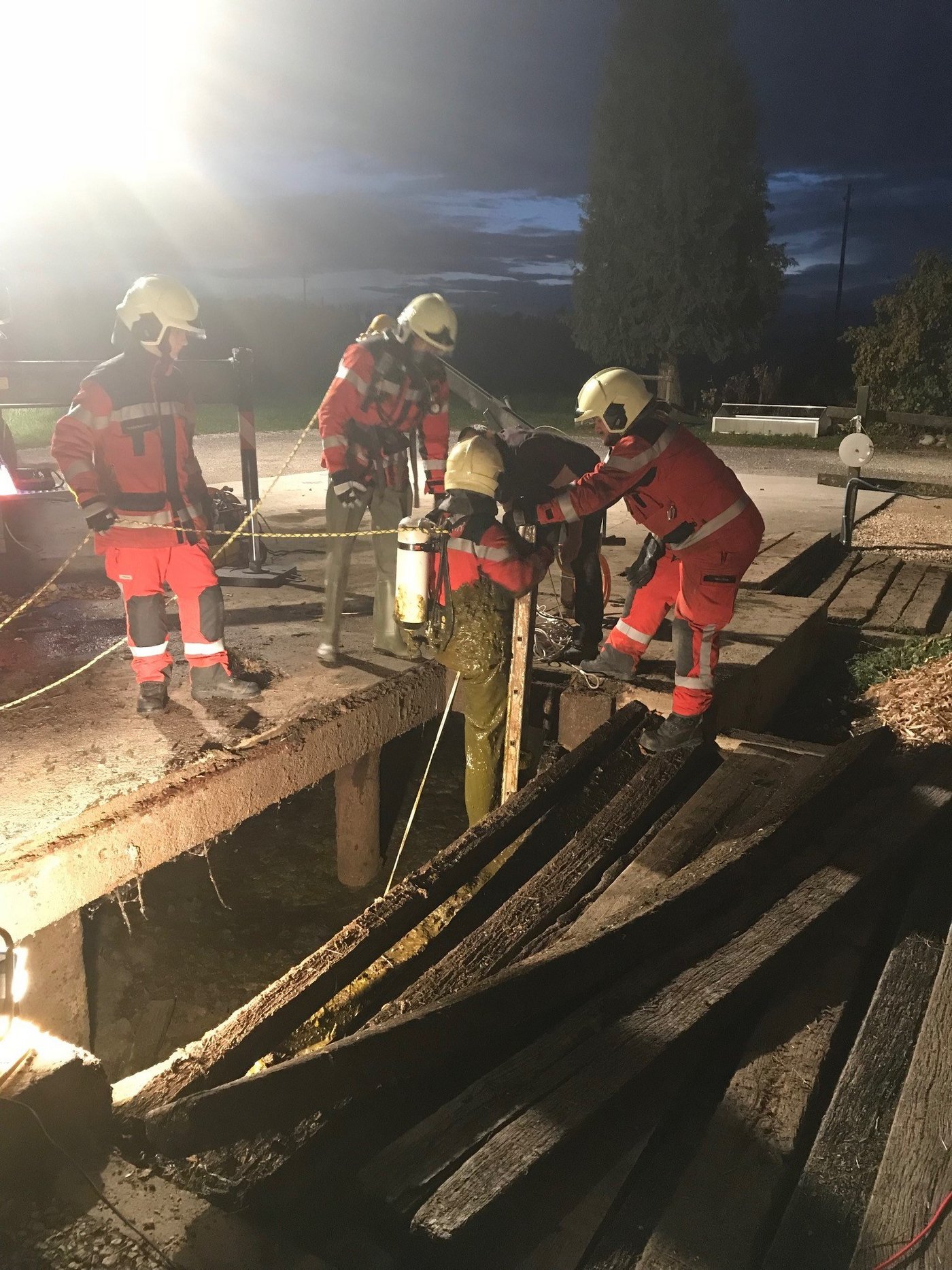 Die Feuerwehrleute konnten die Kuh bergen.