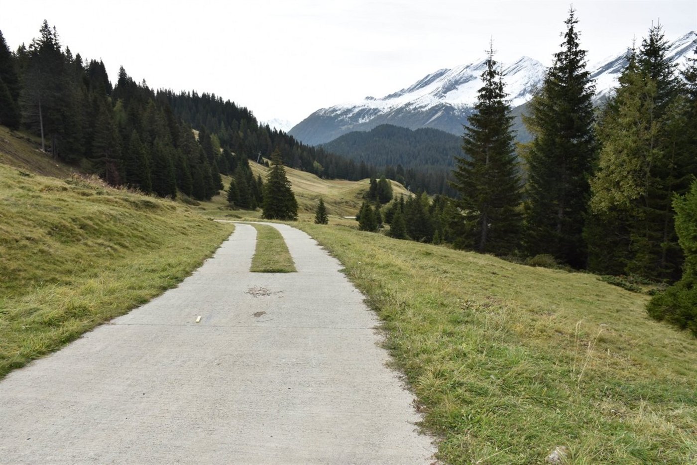 Einer der Jäger schoss auf einen Hasen, der gerade eine Strasse überquerte. Die Schrotkugel prallte auf der Strasse ab und traf den anderen Jäger an der Schläfe. (Bild Kapo GR)