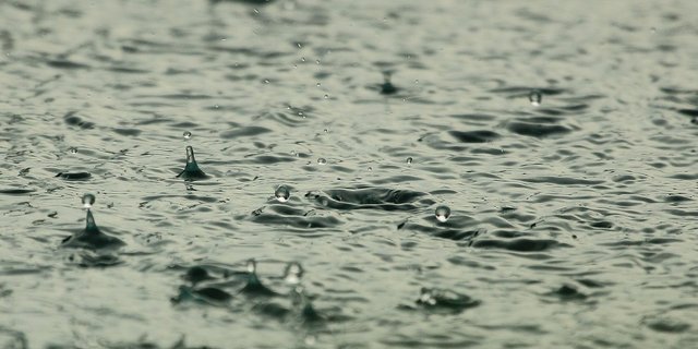 Im Tessin, Wallis und Graubünden hatte das Tief "Vaia" am Montag teils für heftige Niederschläge gesorgt. (Symbolbild Pixabay)