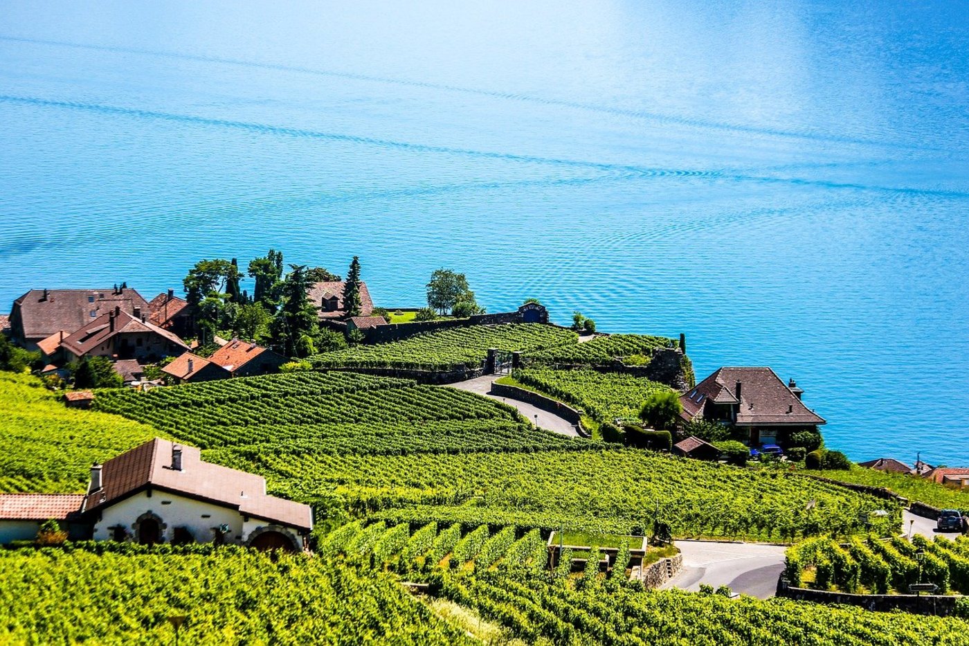 Weinberge am Genfersee. (Bild Pixabay)