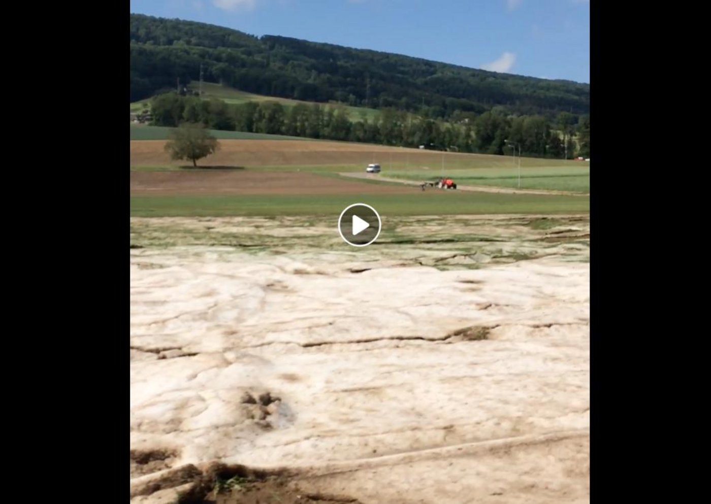 Hagelfelder in Oberwenigen ZH. (Bild Martin Schärer)