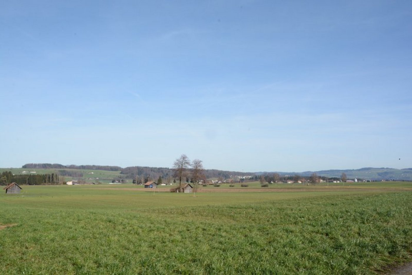 Moorlandschaften wie hier das Wauwilermoos im Kanton Luzern sind verletzliche Ökosysteme. (Bild Andrea Gysin)