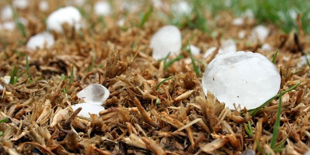 In einigen Regionen der Schweiz verursachte Hagel erneut Schäden. (Symbolbild Pixabay)