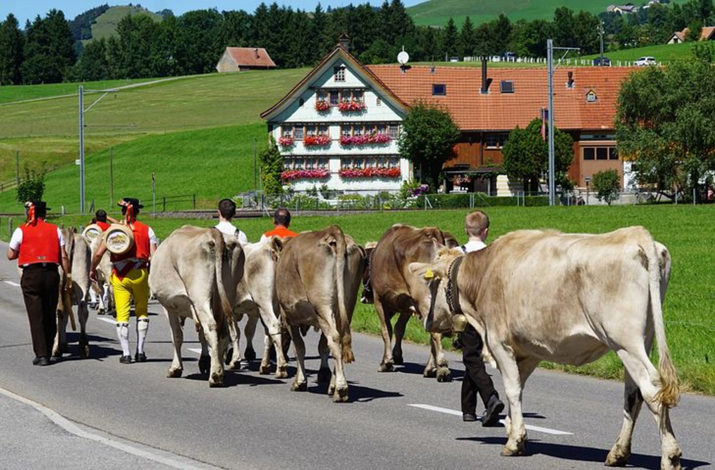 (Symbolbild Pixabay)