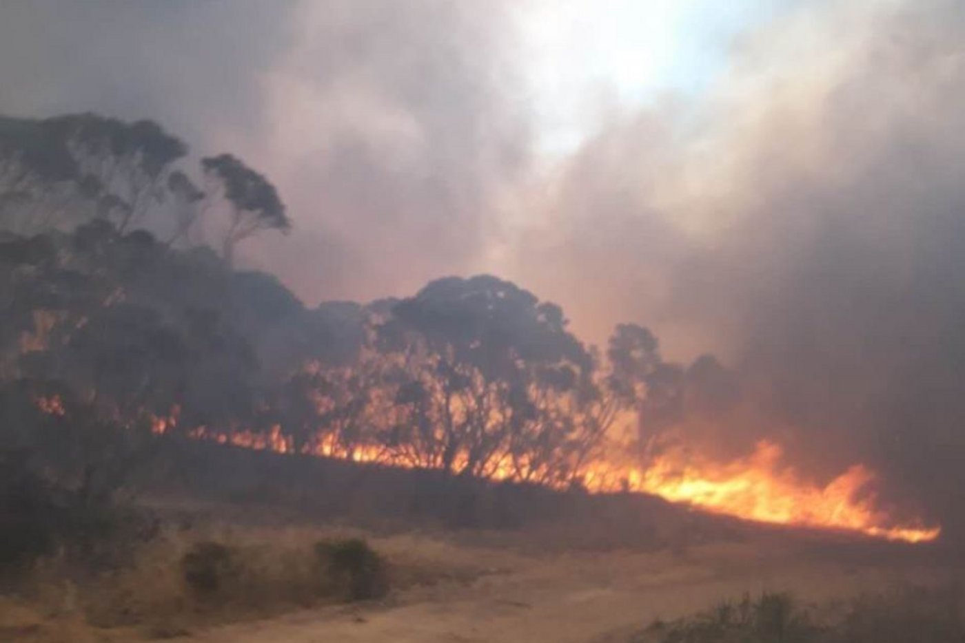 Eine Feuerfront im Süden Australiens heute vormittag. (Bild ABC News) 