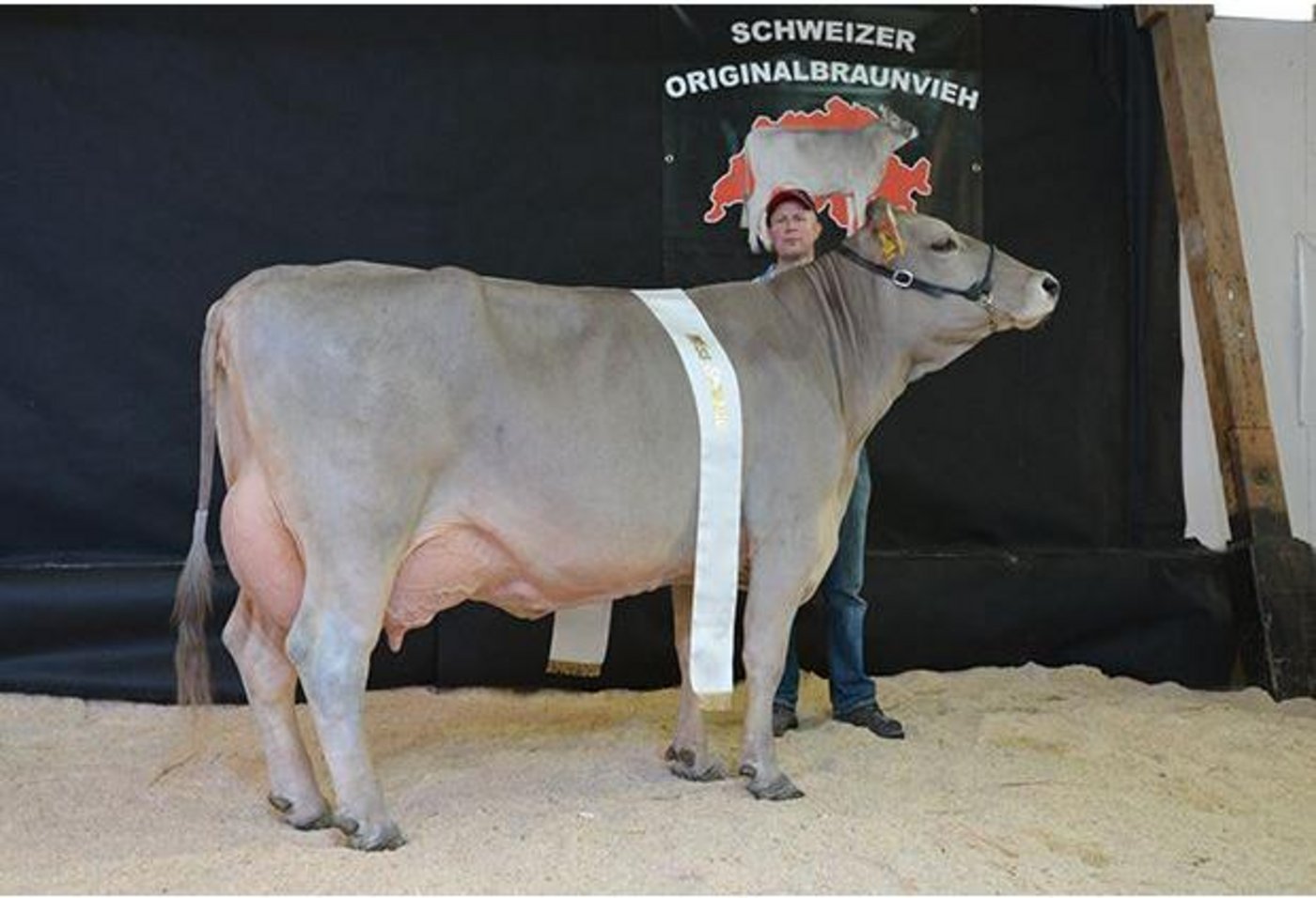 Rio Rubina von Thomas Bucher aus Neuenkirch LU wurde Miss Sorexpo 2018. (Bild zVg)