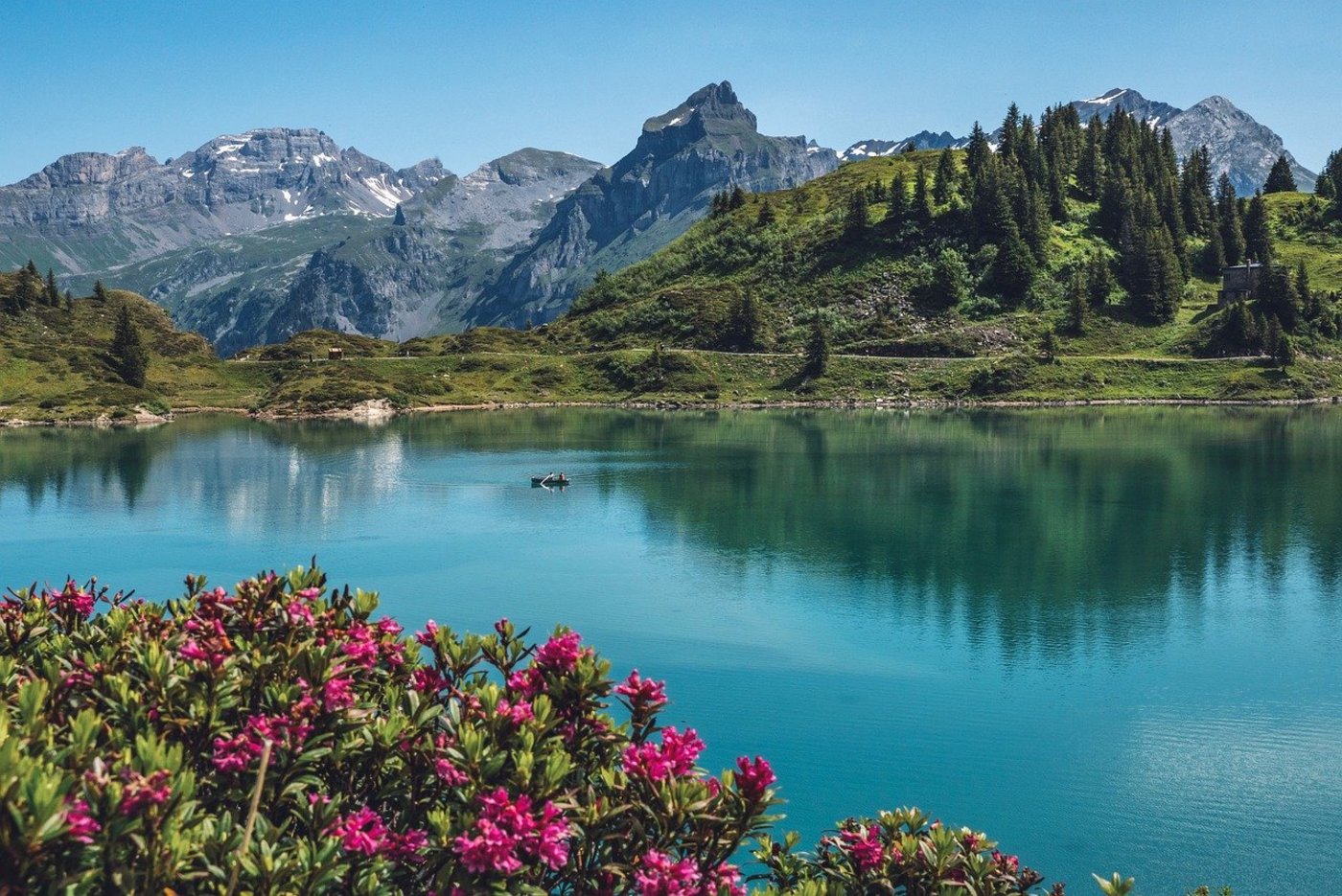 Die Schweiz übernimmt den Vorsitz der Alpenkonvention von Frankreich. (Bild Pixabay)