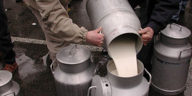 Der Bauernverband geht davon aus, dass der Milchpreis bei einer Öffnung der weissen Linie um 17 Rappen sinken würde. (Bild: BauZ)