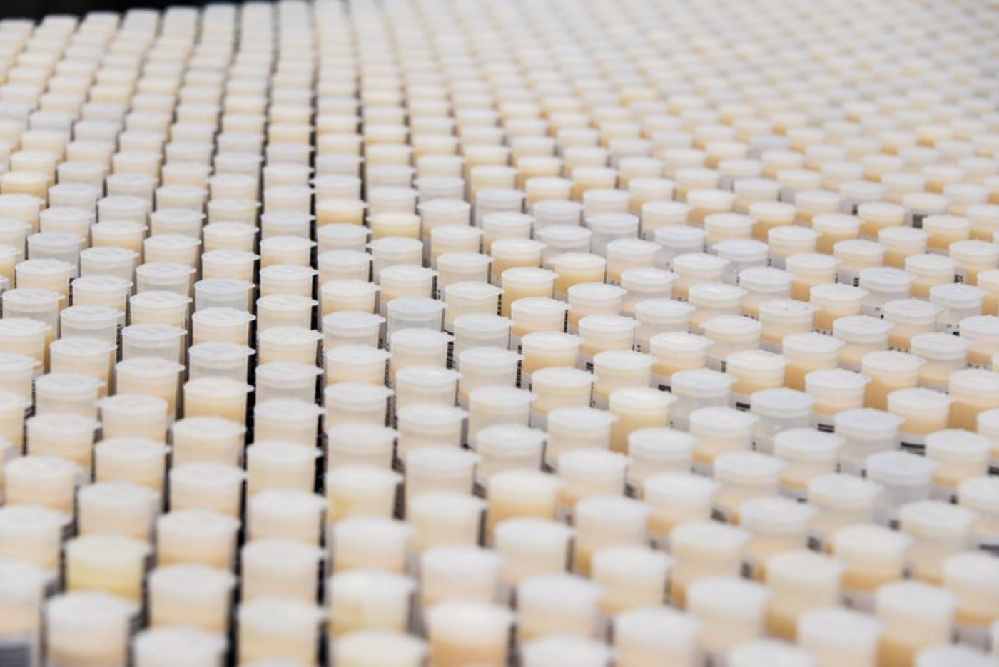 Die Milchprüfung ist staatlich Vorgeschrieben. Bis jetzt zahlt der Bundesrat dafür rund 3 Millionen Franken; das soll sich bald ändern, der Bundesrat will den Budgetposten streichen. (Bild BauZ)