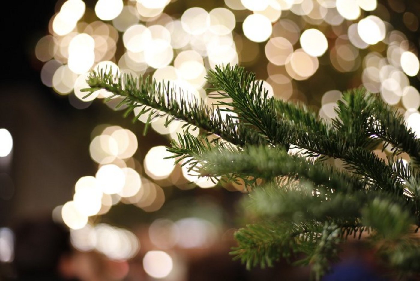 Beim Kauf eines Schweizer Tannenbaums bleibe die Wertschöpfung im Land, sagt der Geschäftsführer der IG Suisse Christbaum, Philipp Gut. (Bild Pixabay)