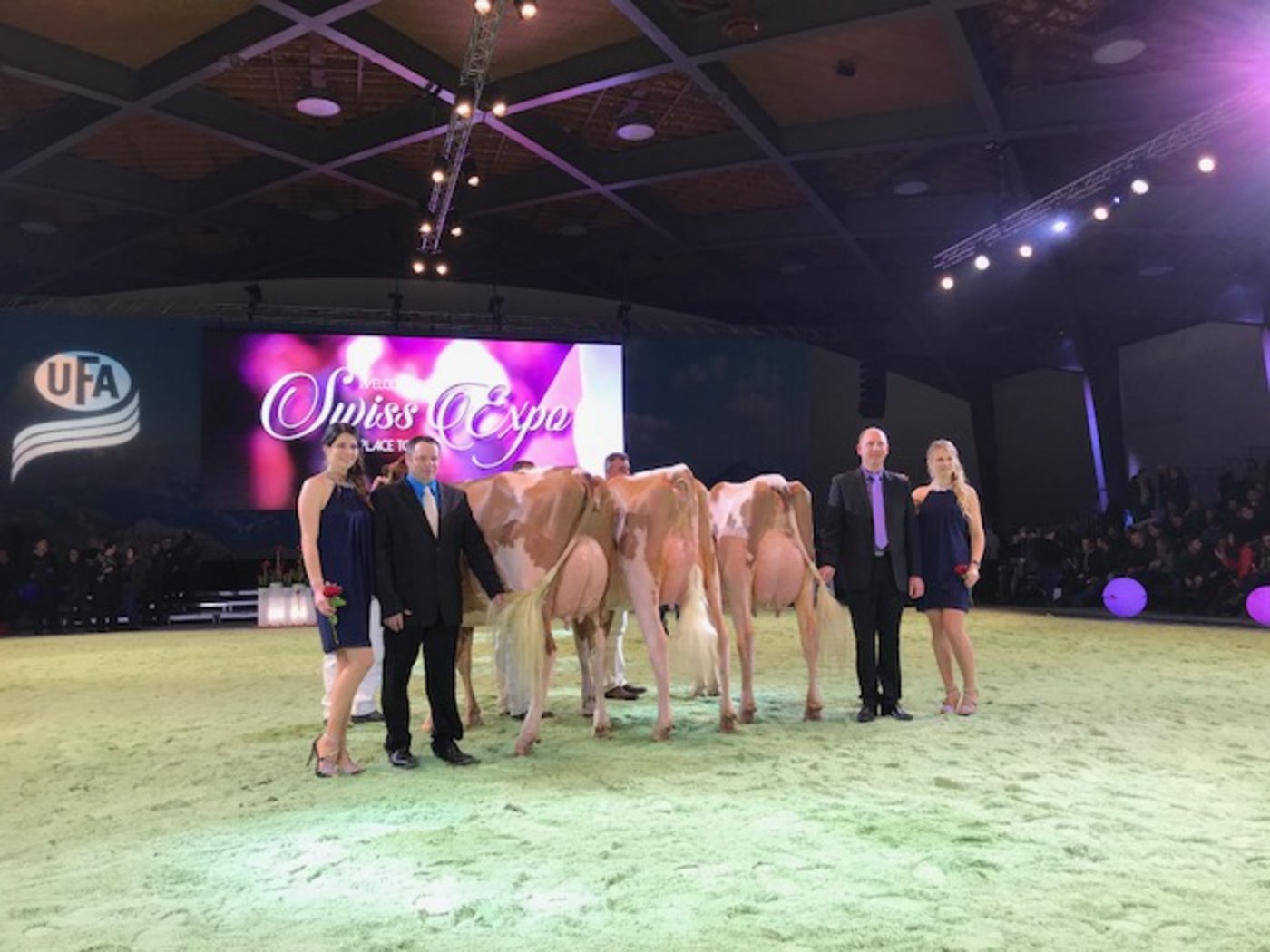 Die Siegerinnen der Championne-Wahl bei den jüngeren Red Holstein-Kühen. (akr)
