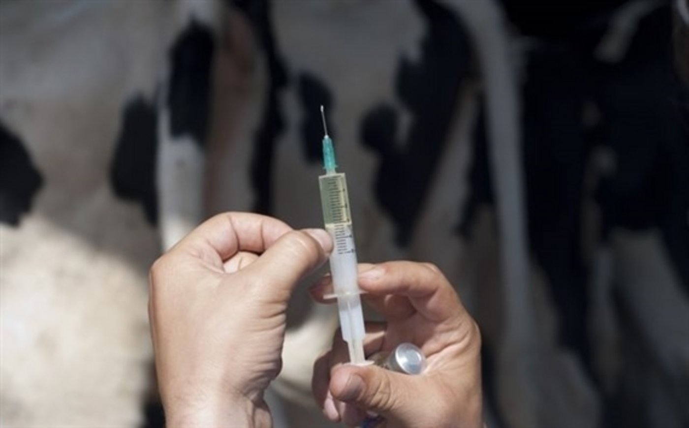 Um den Antibiotika-Einsatz zu reduzieren, muss auch die Landwirtschaft mitziehen. (Bild Fotolia)