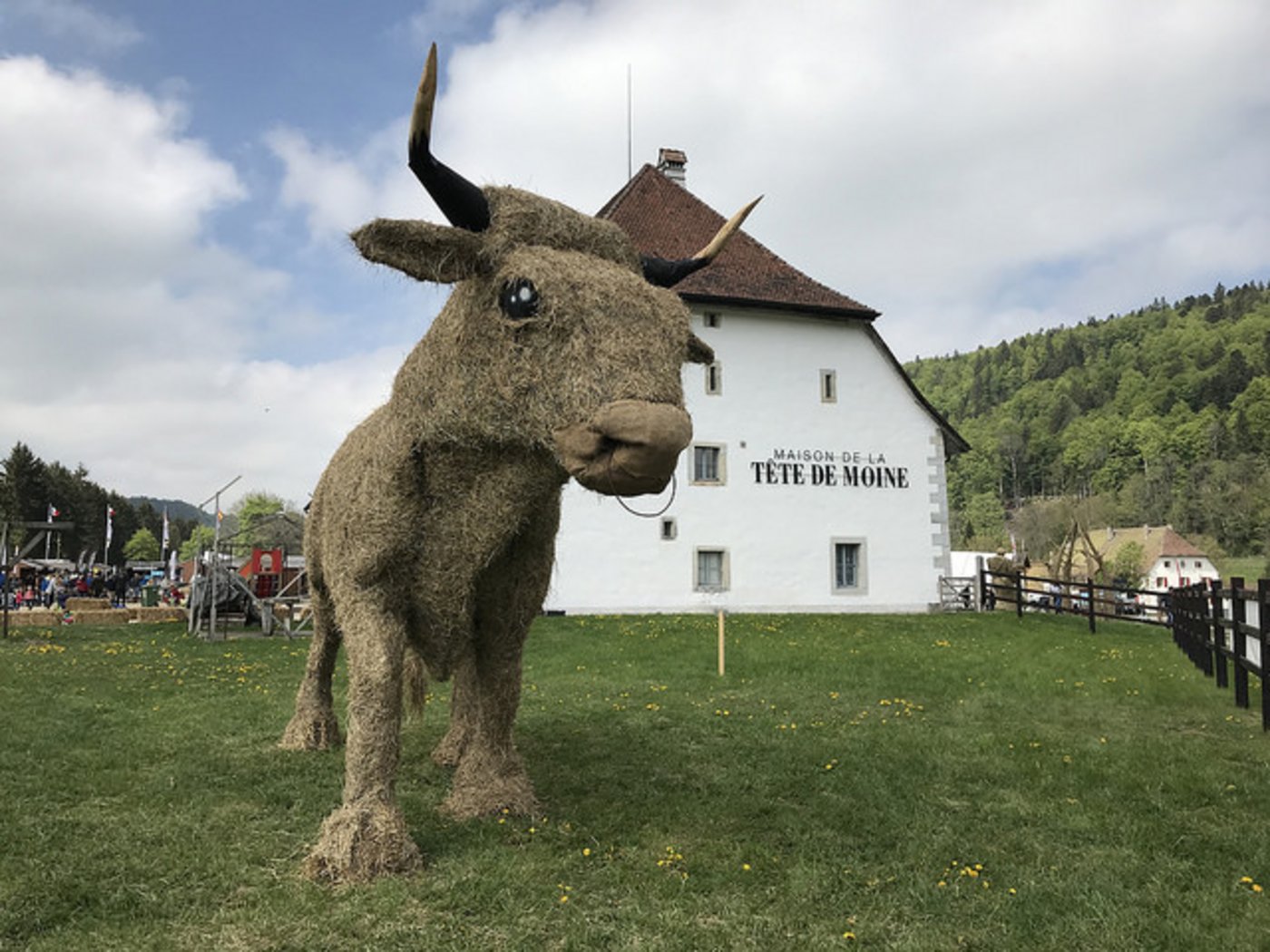Eine der Heuskulpturen. (Bild lid)