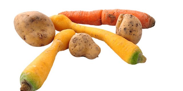 Die «Food Waste»-Studie das Bafu zeigt, dass in der Schweiz etwa 1 Million Tonnen Lebensmittel weggeworfen werden. Bild. Jürg Vollmer