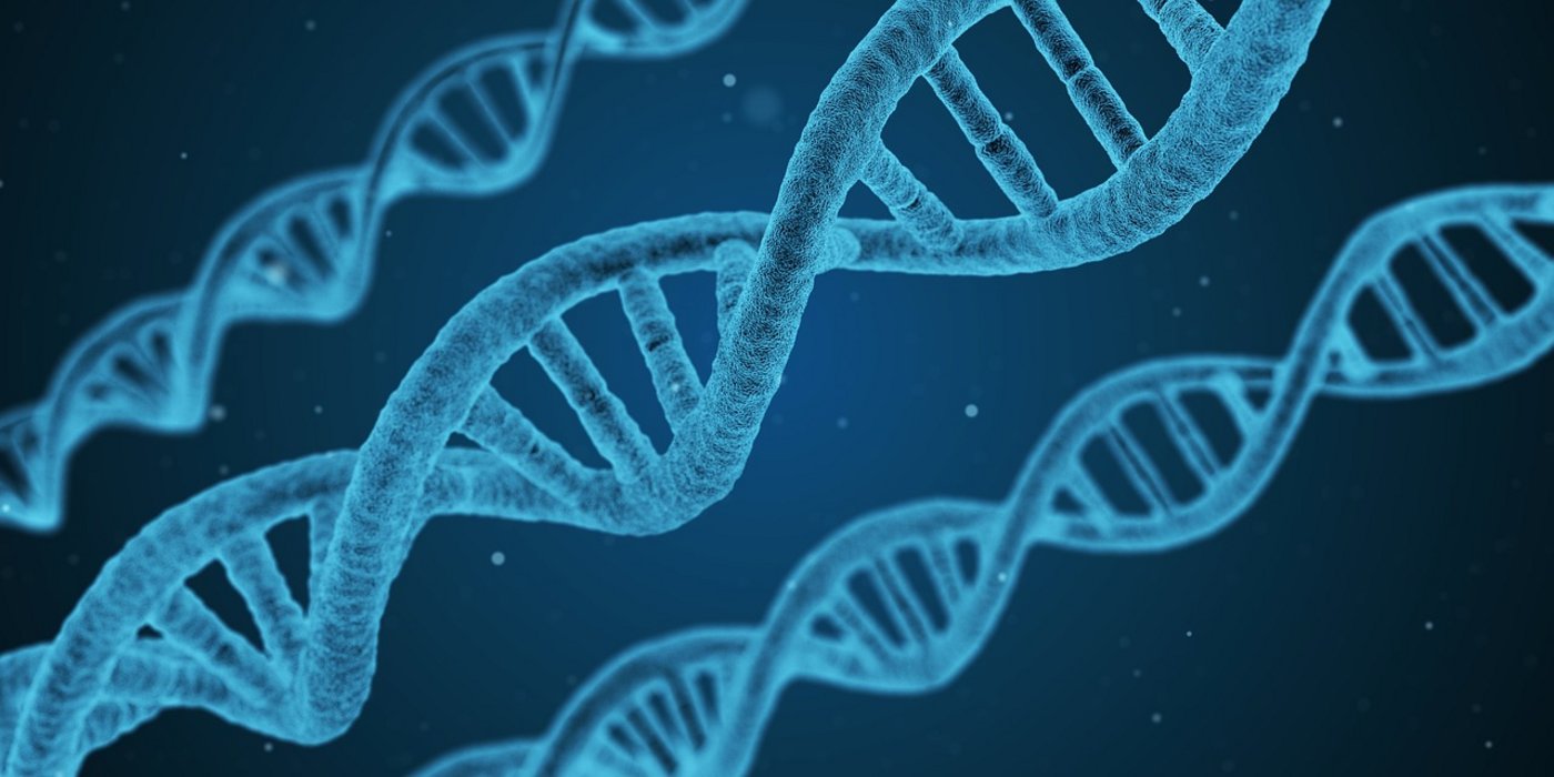 Eine Strickleiter für die Genforschung: Vor 65 Jahren wurde die DNA-Struktur entdeckt. (Symbolbild Pixabay)