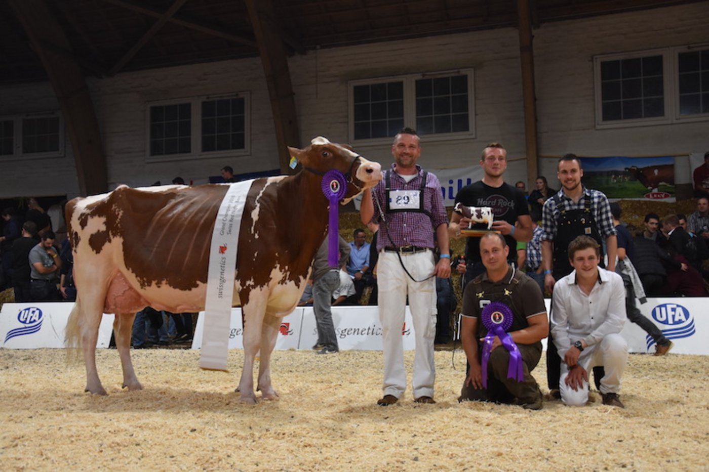 Die Grande Championne Armani Andressa und ihr Vorführ-Team. (Bilder jba)