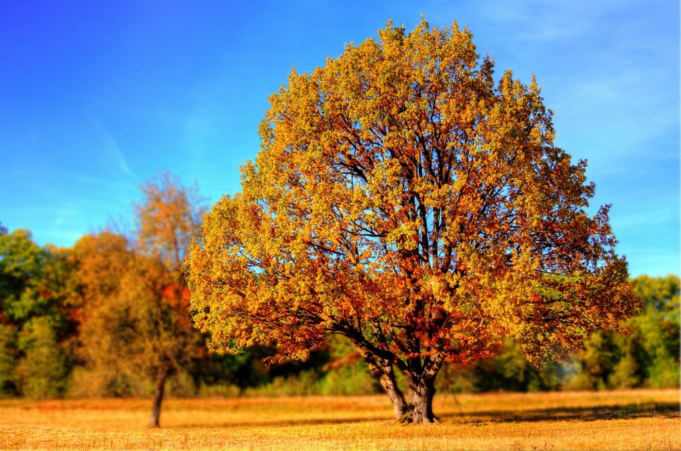 Der Oktober 2017 zeigt sich von der sommerlichen Seite. (Symbolbild Pixabay)