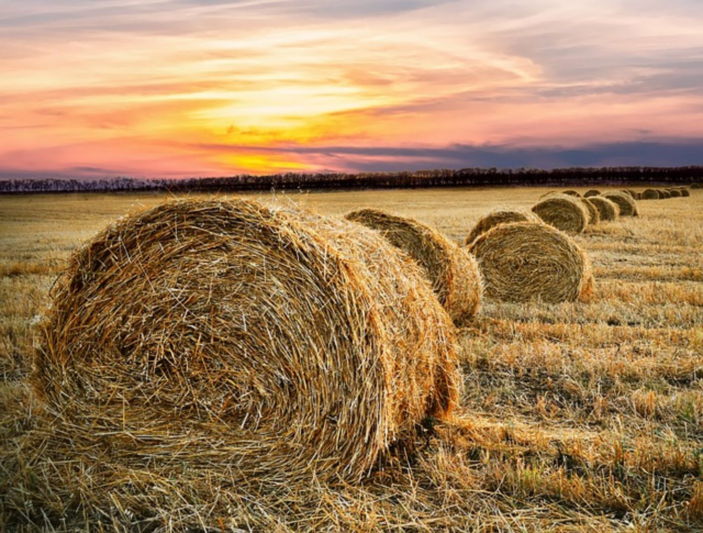 2020 ist mit extremem Wetter zu rechnen. (Symbolbild Pixabay)