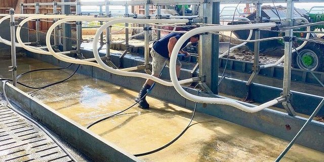 Auf betroffenen Betrieben kann das Übertragungsrisiko durch das Ausräumen, Waschen und Desinfizieren der Liegeboxen vermindert werden.