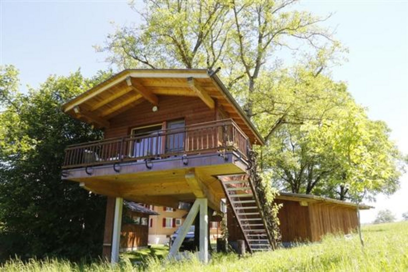 Übernachtung im Wurzelbaumhaus gefällig? (Bild lid)