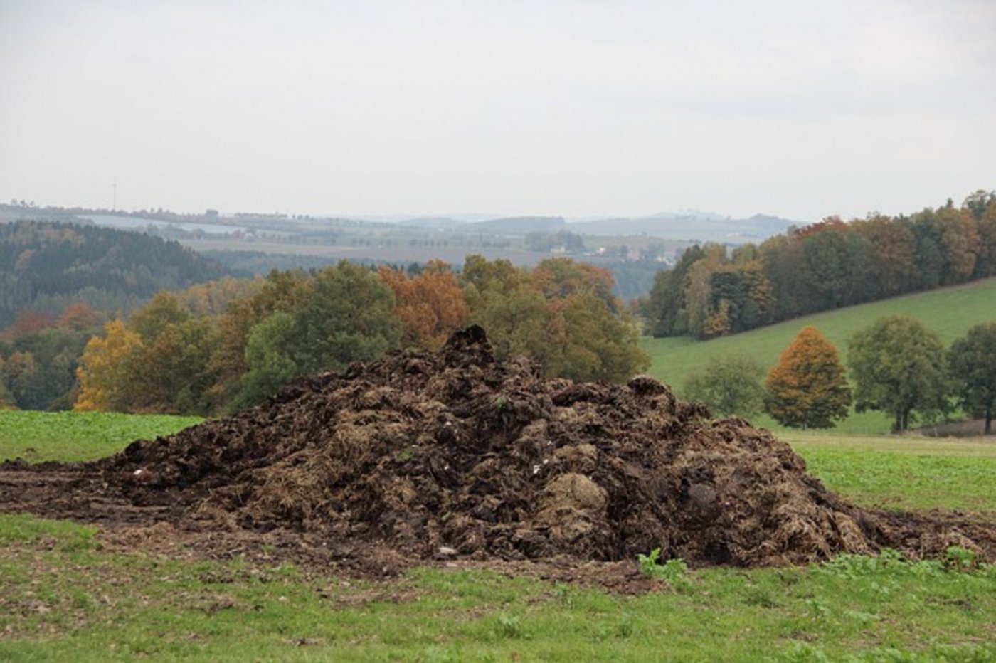 Die Polizei stellte fest, dass der Landwirt das Hakenkreuz selbst gemacht hatte. (Symbolbild pixabay)