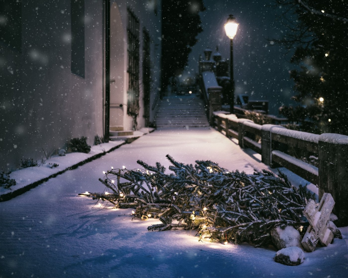 Besser den Christbaum frühzeitig auf die Strasse stellen, bevor es einen Zimmerbrand gibt. (Bild Pixabay)