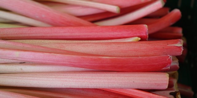 Der Rhabarber ist ein Gemüse, auch wenn man ihn aufgrund des Geschmacks eher für eine Frucht halten könnte. (Bild Pixabay)