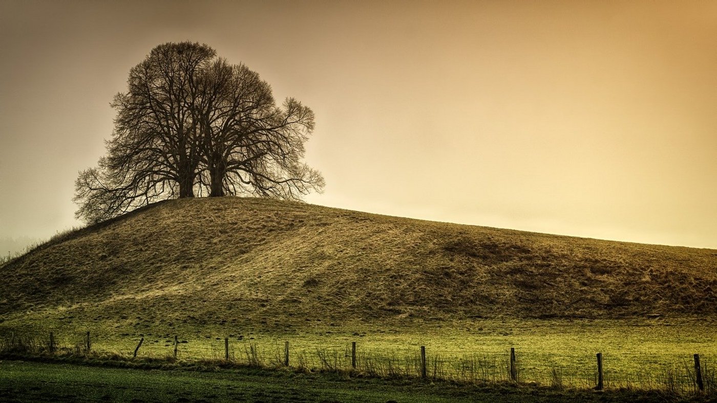 Öffentliche Anlagen sind geschlossen – landwirtschaftliche Nutzfläche ist aber kein Ersatz dafür. (Symbolbild Pixabay)