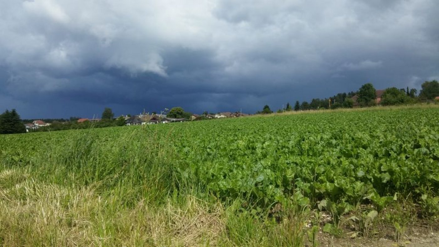 Die Schweizer Hagel-Versicherung feiert 2020 ihr 140-jähriges Bestehen. (Symbolbild lid)