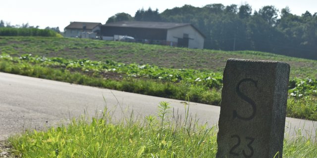 40 Prozent der Betriebe im Kanton Schaffhausen bewirtschaften Land in Deutschland. (Bilder Thomas Güntert)